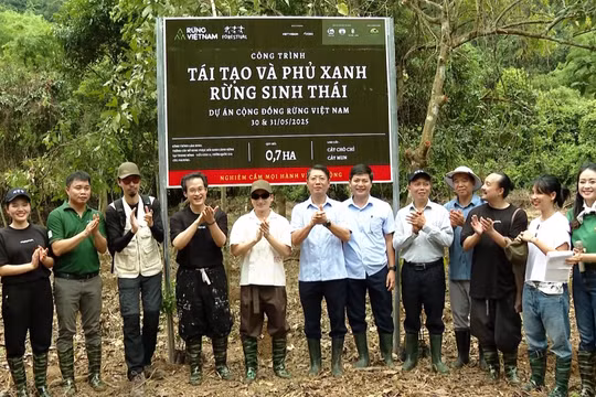 Forestival 2025 - Gieo mầm xanh tại rừng Cúc Phương