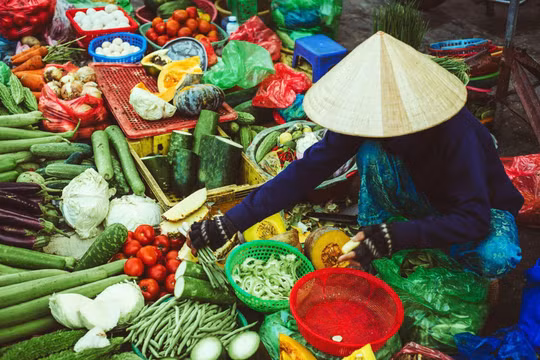 Các chợ và cửa hàng tiện lợi không cung cấp miễn phí túi nilon khó phân huỷ từ 2027
