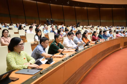 Ngày 25/6, Quốc hội biểu quyết thông qua Luật Đấu thầu sửa đổi