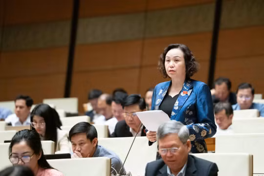 Đại biểu Quốc hội lo ngại 'chính – phụ đảo chiều' nếu viên chức được tham gia điều hành doanh nghiệp