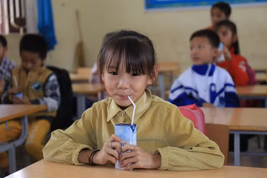 Cần một cuộc cách mạng dinh dưỡng học đường để chặn 'gánh nặng kép'