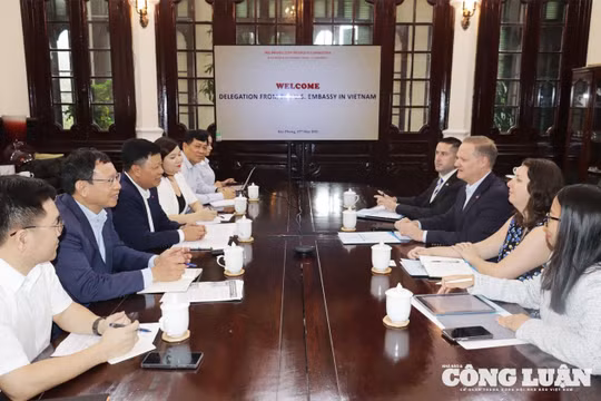 Hoa Kỳ tìm kiếm cơ hội hợp tác kinh tế, thương mại với TP Hải Phòng