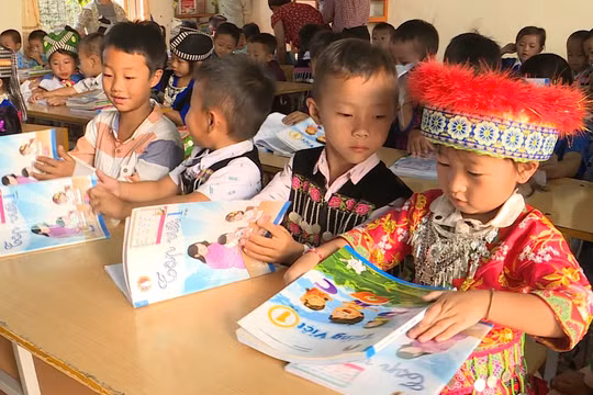 Học sinh tỉnh miền núi sẽ học 2 buổi/ngày, làm quen AI từ tiểu học
