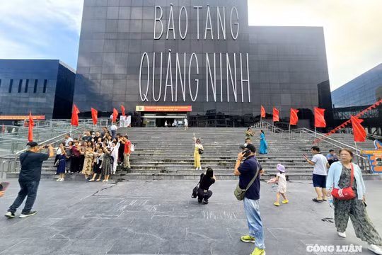 Quảng Ninh quyết liệt sắp xếp bộ máy: Giảm 50% đầu mối giáo dục và Trạm Y tế
