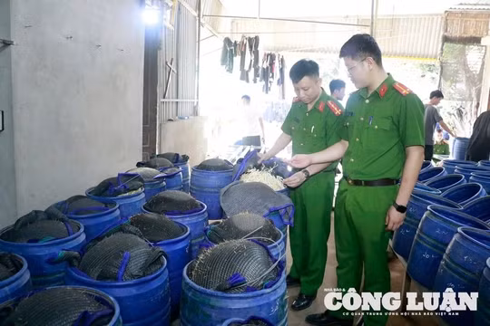 Nghệ An: Phát hiện cơ sở sản xuất 3.500 tấn giá đỗ ngâm hóa chất