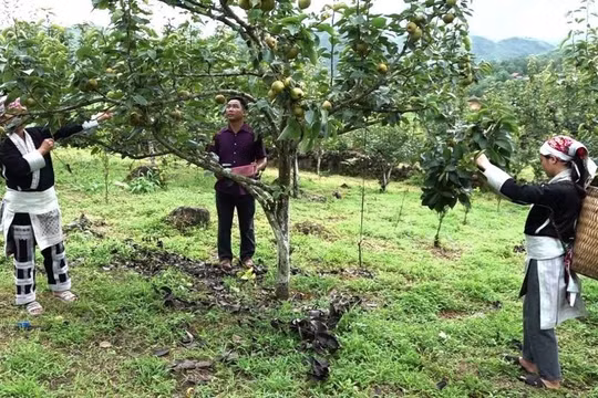 Lào Cai: Chuyển đổi số và đổi mới sáng tạo – Động lực mới cho giảm nghèo bền vững