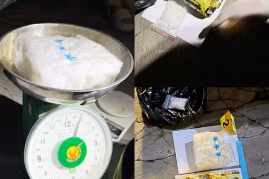 Dùng ô tô vận chuyển ma túy, định phi tang nhưng bất thành