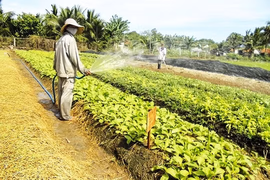 Khánh Hòa: Ứng dụng khoa học – công nghệ thúc đẩy nông nghiệp, tăng tốc giảm nghèo bền vững
