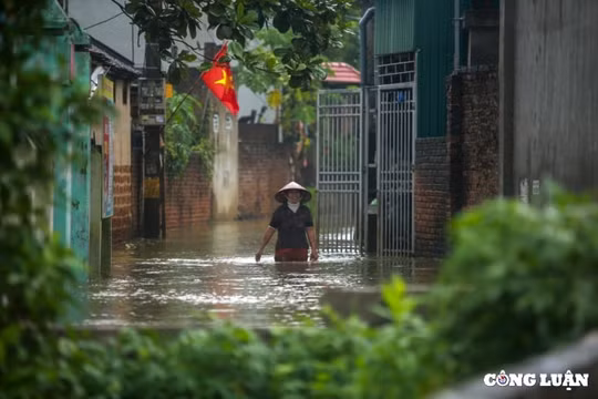 Hà Nội lập kế hoạch tổng thể cải tạo đê điều, chống lũ sông Bùi