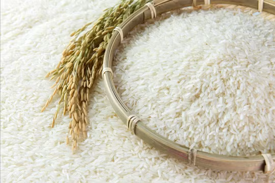Thêm ba thị trường mới cho xuất khẩu gạo Việt