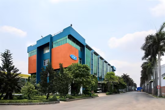 Gỗ Trường Thành (TTF): Liên tục thay kế toán trưởng giữa lúc lỗ lũy kế vượt 3.262 tỷ đồng, chiếm gần 80% vốn điều lệ