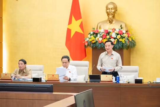 Công bố mẫu biểu trưng kỷ niệm Ngày Tổng tuyển cử năm 1946