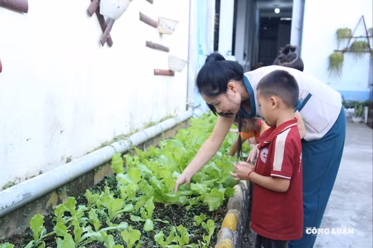 Tỉnh, thành phố nào thu tiền trông học sinh ngoài giờ cao nhất?