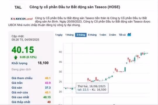 'Đọc vị' loạt nhà đầu tư rót vốn vào Taseco Land