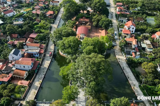 Đền Trần Thương – Từ kho lương thời Trần đến di tích quốc gia đặc biệt