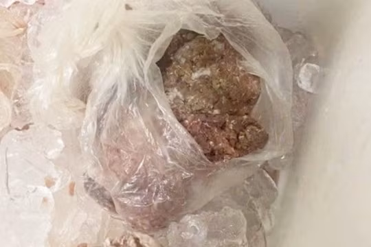 Phụ huynh 'tố' bếp ăn trường Tiểu học Kim Quan dùng thực phẩm nghi ôi thiu, không nằm trong thực đơn
