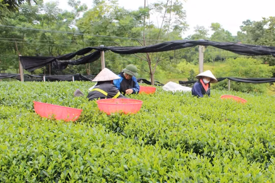 Thái Nguyên hướng đến mục tiêu giảm nghèo thực chất và bền vững