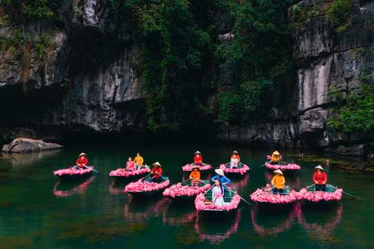 Tam Cốc vào mùa hoa súng: Vẻ đẹp mộng mị giữa lòng cố đô