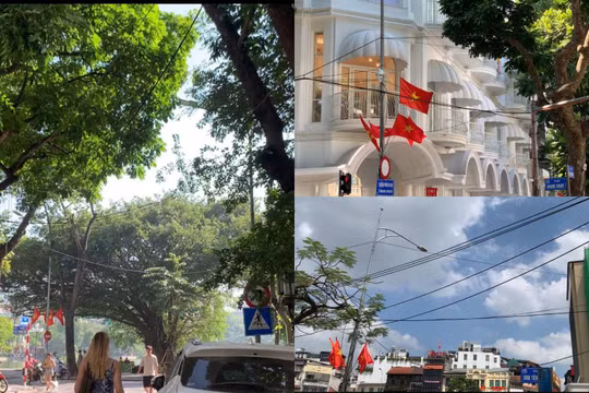 Người dân lo lắng với 'tổ nhện dây' trên phố đi bộ Hồ Gươm