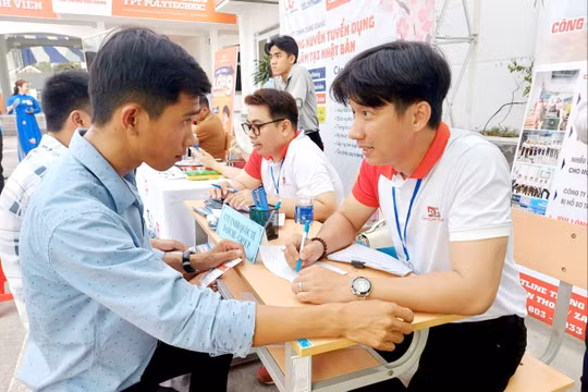 Cà Mau đẩy mạnh công tác tư vấn, giới thiệu việc làm