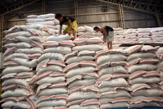 Philippines gia hạn lệnh cấm nhập khẩu gạo thêm 60 ngày