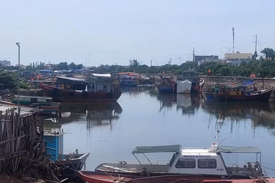 Hải Phòng: Lên kế hoạch sơ tán gần 20.000 người dân trước bão Wipha