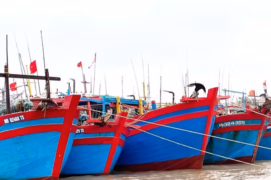 Ninh Bình: Thành lập Ban chỉ đạo chống khai thác thuỷ sản bất hợp pháp