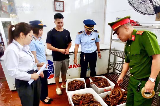 Quảng Ninh: Xử phạt 127 tổ chức, cá nhân vi phạm an toàn thực phẩm trong tháng 6/2025