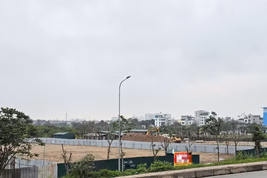 Hơn 100.000m2 đất ở Long Biên được công khai cho thuê ngắn hạn