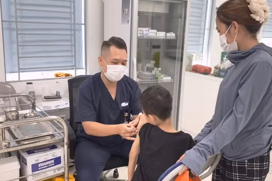 Nhiều trẻ em bị chó cắn nghiêm trọng trong dịp hè