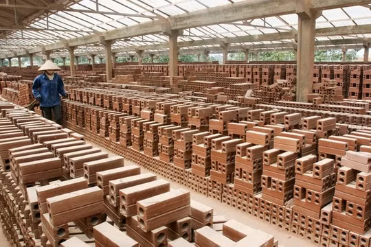 Công ty con đầu tiên trong hệ sinh thái Viglacera (VCG) báo lỗ tại Quý I/2025