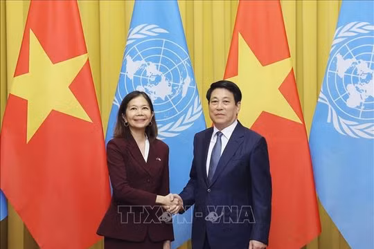 Chủ tịch nước Lương Cường tiếp Điều phối viên thường trú Liên hợp quốc tại Việt Nam