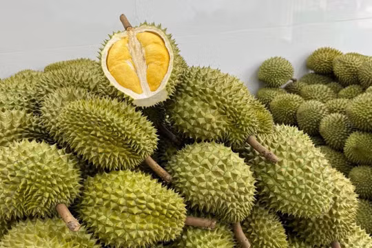 Giá sầu riêng hôm nay 29/10: Thị trường chững lại, Sầu Thái loại A giữ mức 95.000 đồng/kg