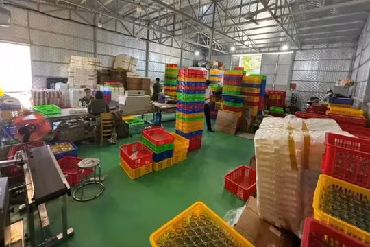Triệt phá đường dây sản xuất 'yến chưng' giả, bán đi khắp cả nước
