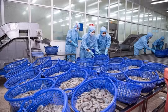 Sao Ta (FMC) tăng doanh số nhờ 'nước rút thuế': Cuộc đua gấp rút trước ngày 09/07