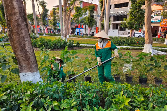 Vững bước theo lời Bác, kiến tạo tương lai xanh
