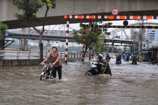 Bến Tre chủ động ứng phó với mưa lớn, sạt lở