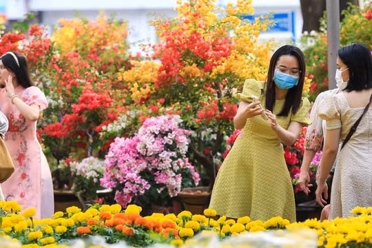 Chi tiết 70 điểm chợ bán hoa Tết Ất Tỵ của Hà Nội