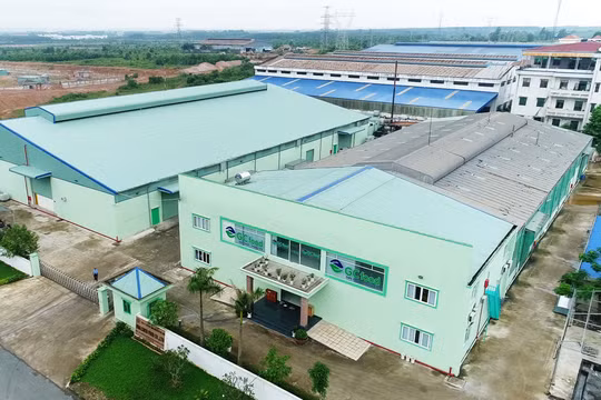 GC Food (GCF) mục tiêu doanh thu tăng 24%, phát hành hơn 7 triệu cổ phiếu cho AIG khi áp lực chi phí gia tăng