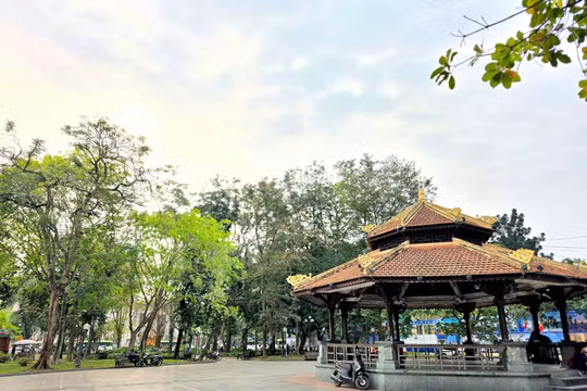 Hà Nội: Vườn hoa Lý Thái Tổ sẽ có 114 cây bóng mát sau cải tạo