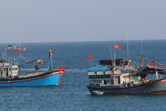 Dự báo thời tiết ngày 14/6: Bắc Bộ có mưa dông, ven biển gió mạnh