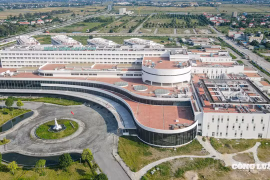 Hàng trăm bạn trẻ hiến tóc tại “Trạm tóc ước mơ 2025” gửi yêu thương tới bệnh nhi ung thư