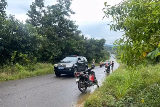 Lâm Đồng: Người đàn ông tử vong trong tư thế treo cổ tại chòi rẫy sầu riêng
