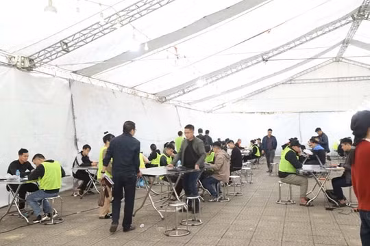 Hơn 13.000 bị hại sập bẫy đường dây lừa đảo qua mạng hoạt động tại Campuchia