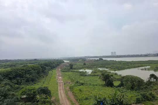 Yêu cầu tuân thủ quy hoạch đê điều khi phát triển du lịch bãi sông Hồng