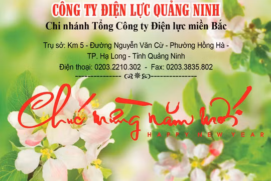 Công ty Điện lực Quảng Ninh: Luôn đảm bảo cung ứng điện an toàn trên địa bàn