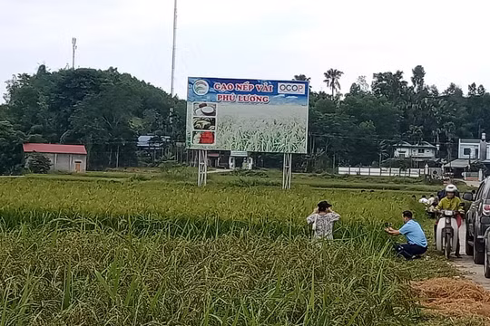 Viết tiếp bài báo: “Sai phạm trong quá trình giải ngân vốn Chương trình MTQG”: Yêu cầu kiểm điểm đối với tổ chức, cá nhân có liên quan