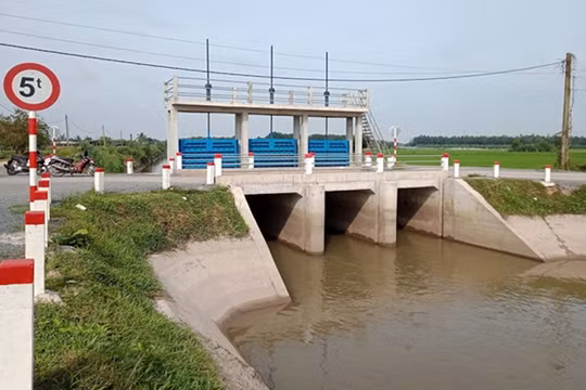 TP HCM: 2 đơn vị cạnh tranh gói thầu xây dựng các tuyến đê bao trên địa bàn huyện Hóc Môn trị giá gần 80 tỷ đồng