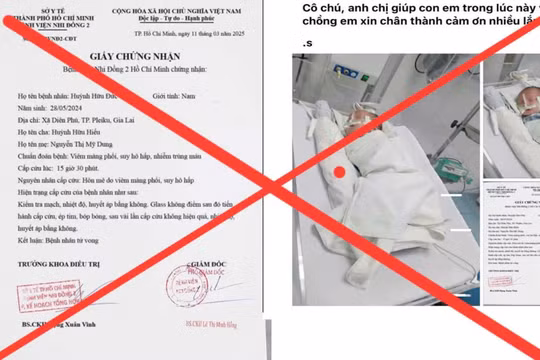 Gia Lai: Làm giả thông tin con trai mắc bệnh, đã tử vong để kêu gọi tiền hỗ trợ