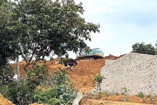Hà Nội chỉ đạo khẩn kiểm tra công trình không phép, san lấp đất đồi tại Vườn quốc gia Ba Vì